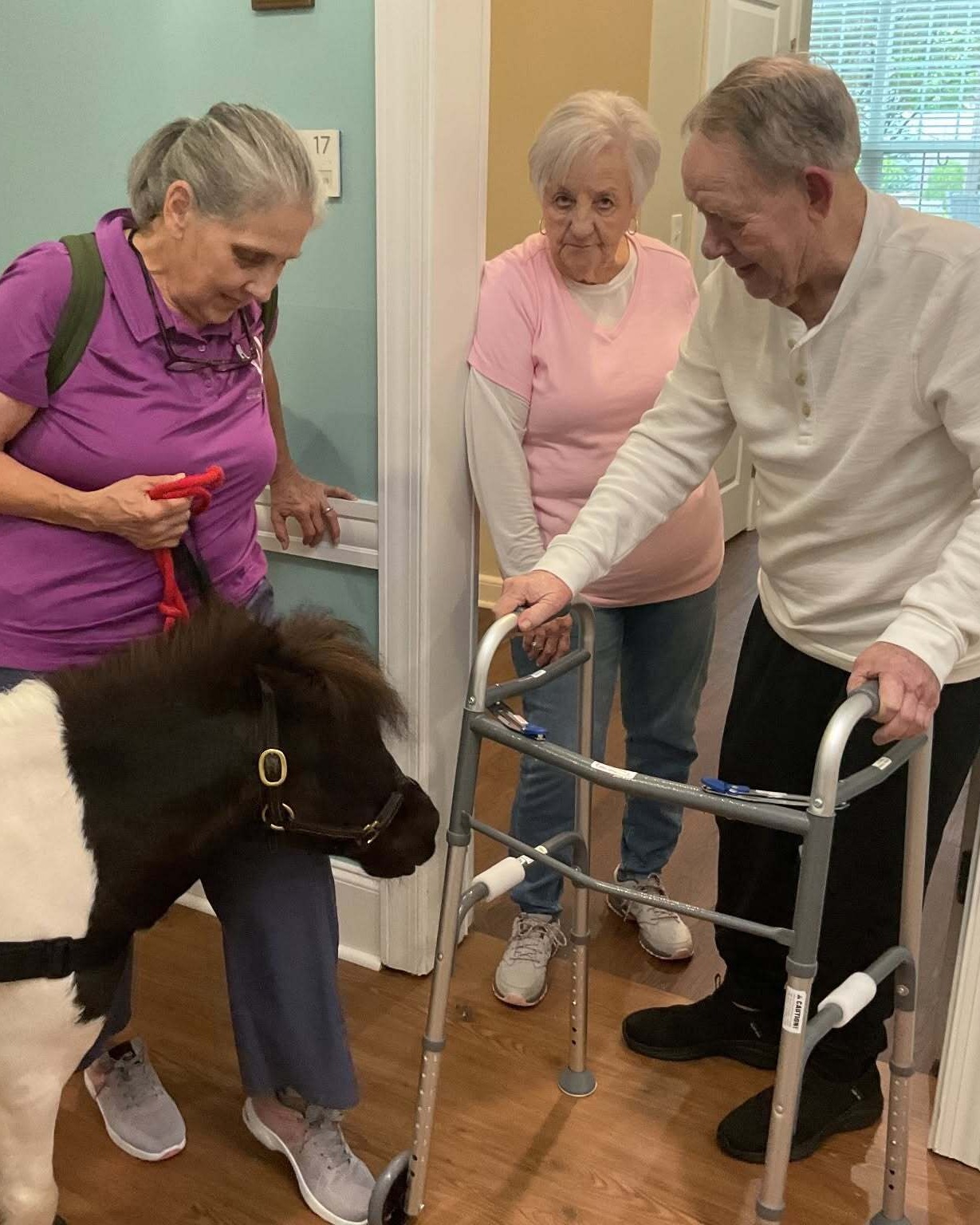 Residents smile and reach out to greet a miniature therapy horse during a special visit at Arbor Terrace South Forsyth, highlighting the engaging, pet-friendly spirit of senior living in Suwanee, GA.
