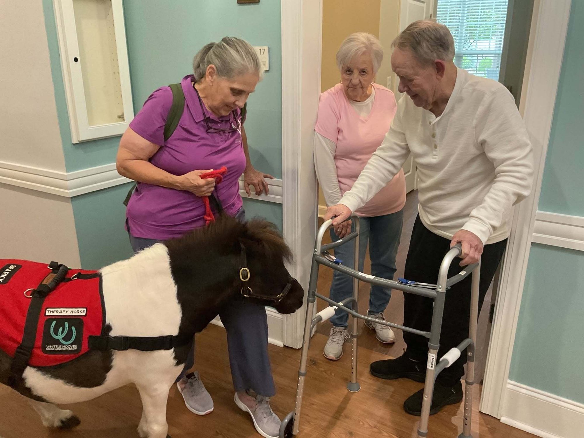 Residents and a staff member gather to greet a miniature therapy horse in a cheerful common room at Arbor Terrace South Forsyth, a pet-friendly senior living community in Suwanee, GA.