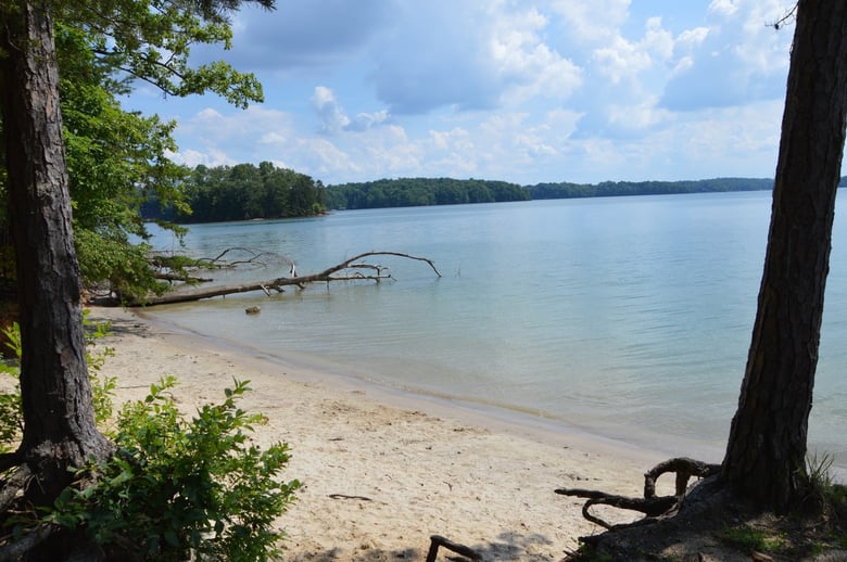A tranquil lakeside view in Cumming, GA, home to Northside Hospital Forsyth and The Collection at Forsyth, just a short drive from Arbor Terrace South Forsyth in Suwanee, GA.