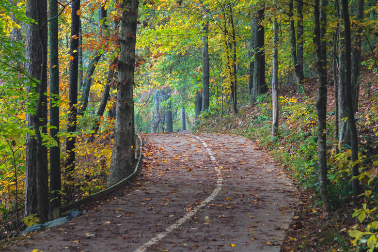 A tree-lined autumn path through Suwanee, GA, the walkable home community of Arbor Terrace South Forsyth, near Suwanee Town Center and Sims Lake Park.