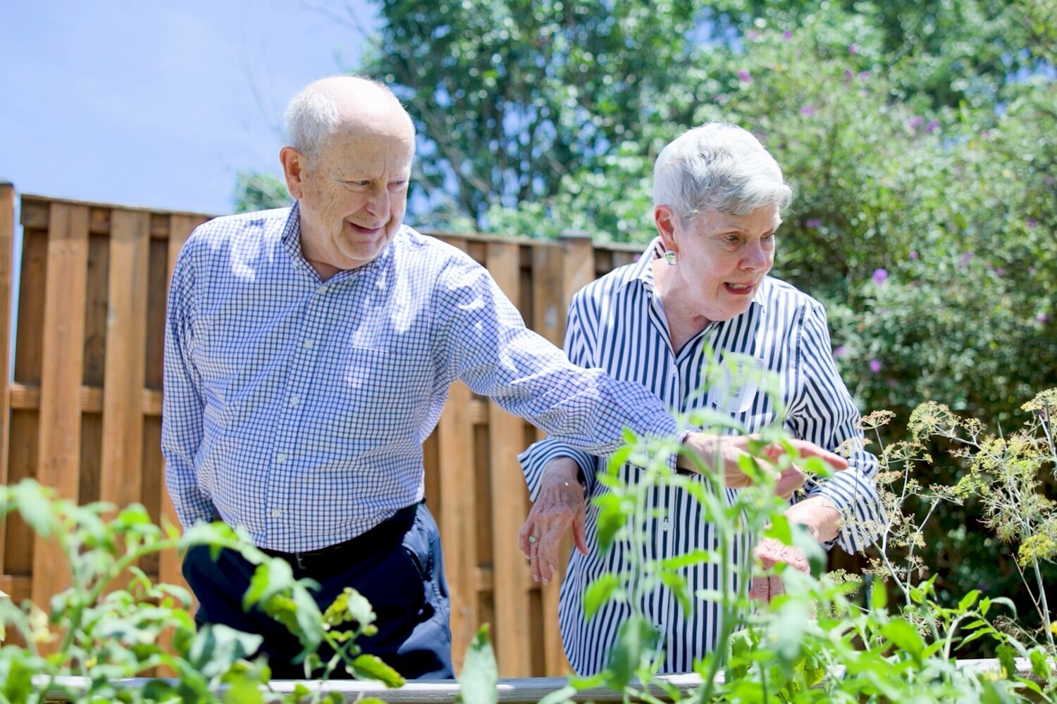 A man in a checked shirt and a woman in a striped blouse admire leafy plants in a raised garden bed beside a wooden fence at Arbor Terrace Sudley Manor. Sunny garden time reflects the wellness-focused senior living Manassas offers at this senior living community.