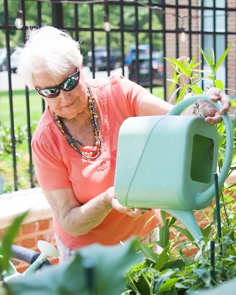 An older woman in sunglasses and a coral top waters a lush garden with a sage green watering can on a sunny day, a peaceful moment that reflects senior living with outdoor spaces Manassas VA and an active senior lifestyle Manassas.