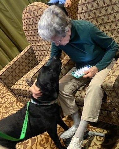 Willistown_Resident pets a dog