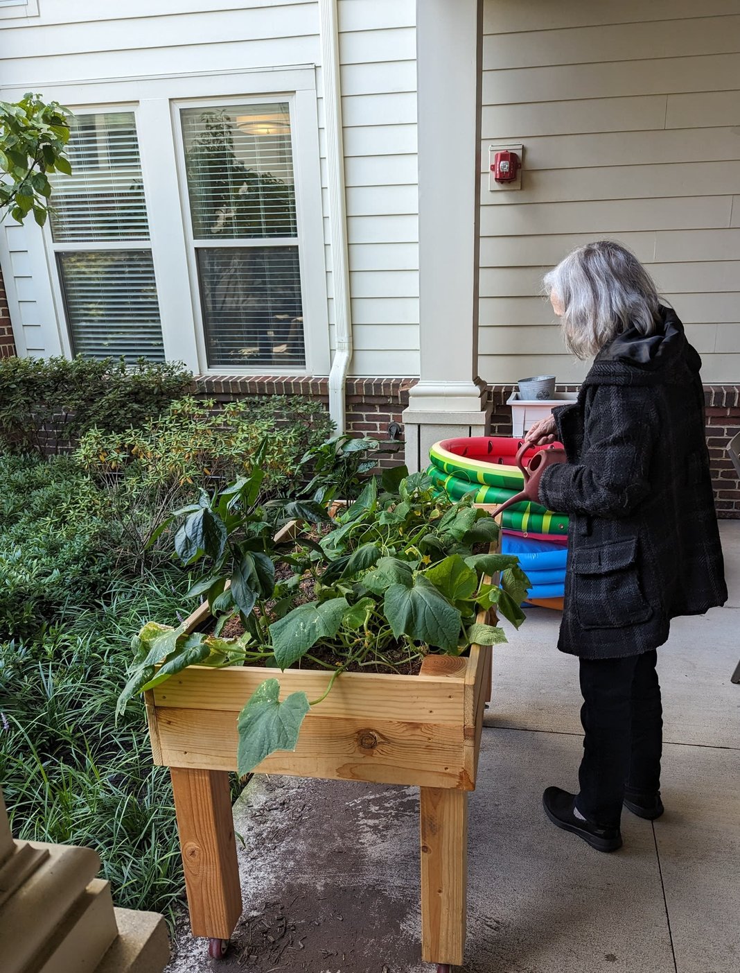 Woodbridge, VA Senior Living Dining Arbor Terrace