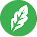 leaf icon 1