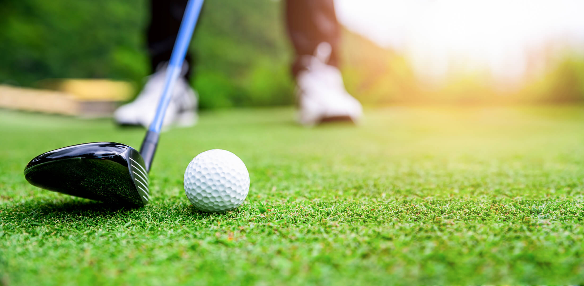 A close-up of a golf ball and club on a sunny green, capturing the active lifestyle near golf courses at senior living in Citrus Park, FL.