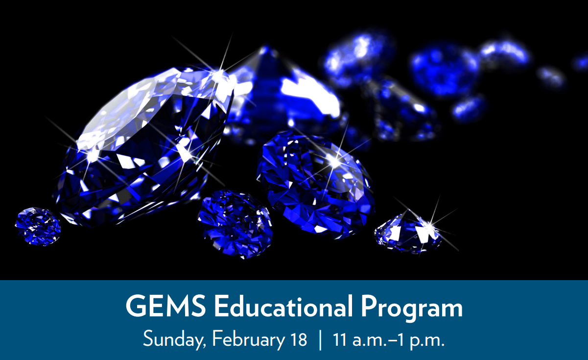 February 18 GEMS Educational Program