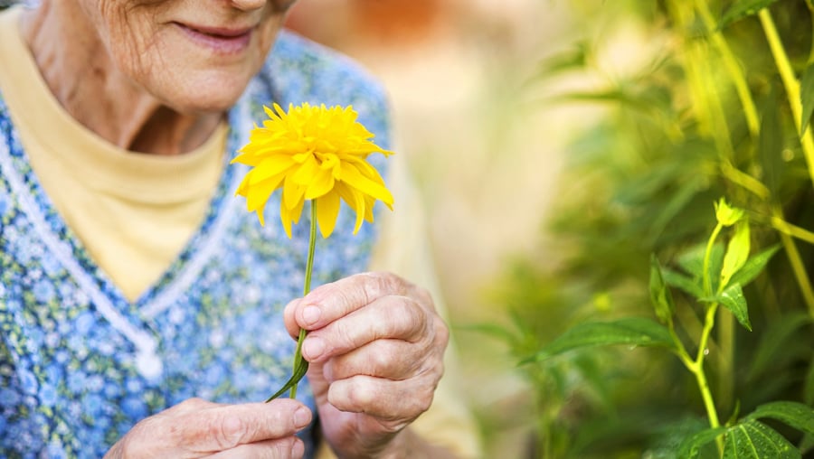 An older adult gently holds a bright yellow flower among lush green plants outdoors — a peaceful, nature-connected moment in memory care Lakeway TX.