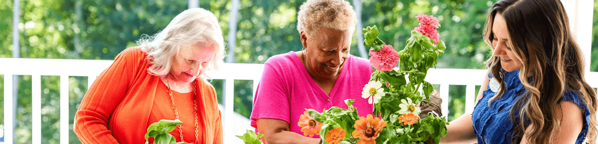 Arbor Terrace Citrus Park Independent Living