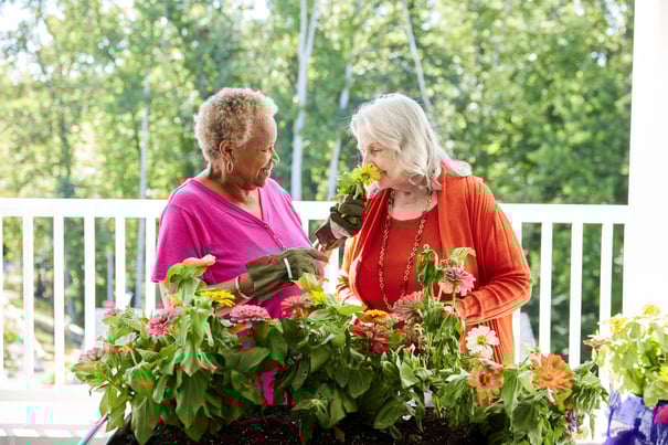 senior ladies gardening