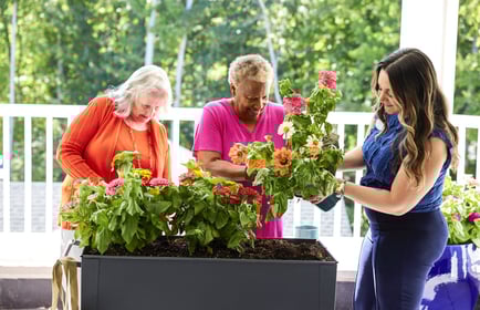 2 senior residents gardening with team member