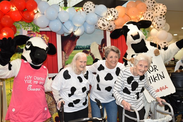 The Chick-fil-a cows at Arbor Terrace Hamilton Mill