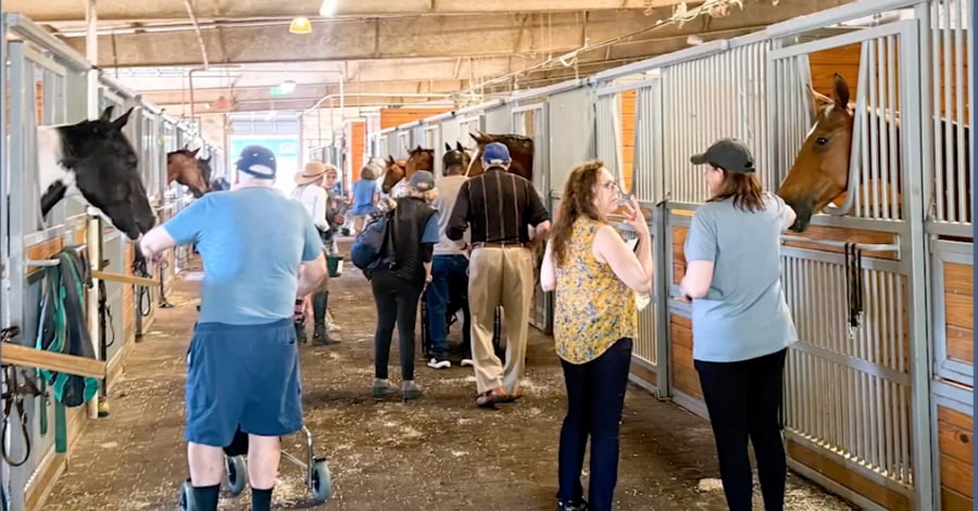People walking in barn with horses