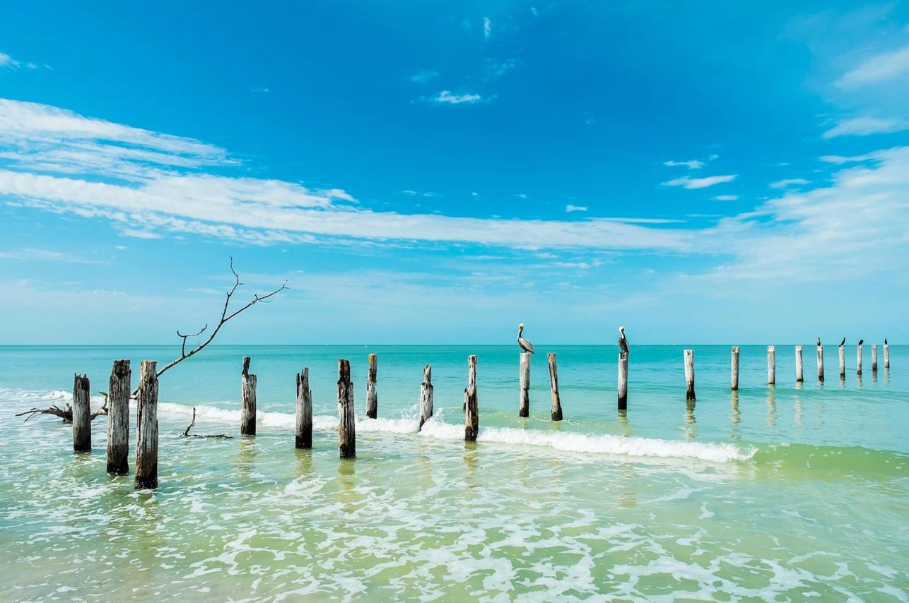 A serene view of the Fort Myers coastline with weathered wooden posts rising from calm turquoise waters, reflecting the beautiful surroundings near Barrington Terrace, a senior living community in Fort Myers, FL.