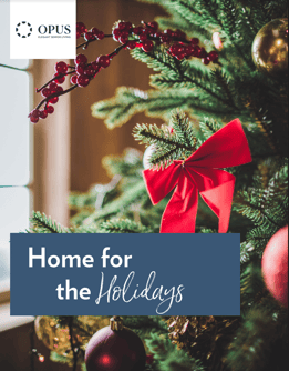 MEM - Home for the Holidays - Cover