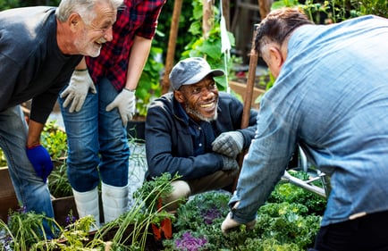 arbor terrace male residents gardening