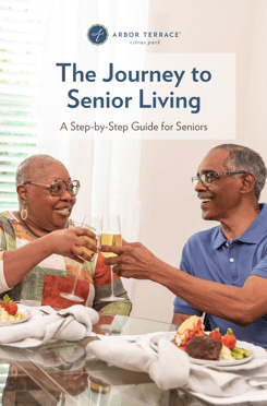 CPIL - Journey to Senior Living for Seniors - Cover