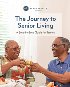 NPV - Journey to Senior Living - Cover