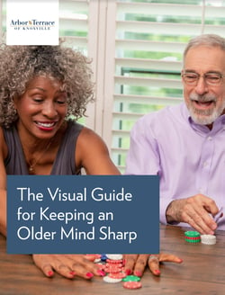 KNOX - The Visual Guide for Keeping an Older Mind Sharp - Cover