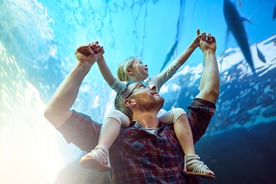 Lakeway-Austin Aquarium