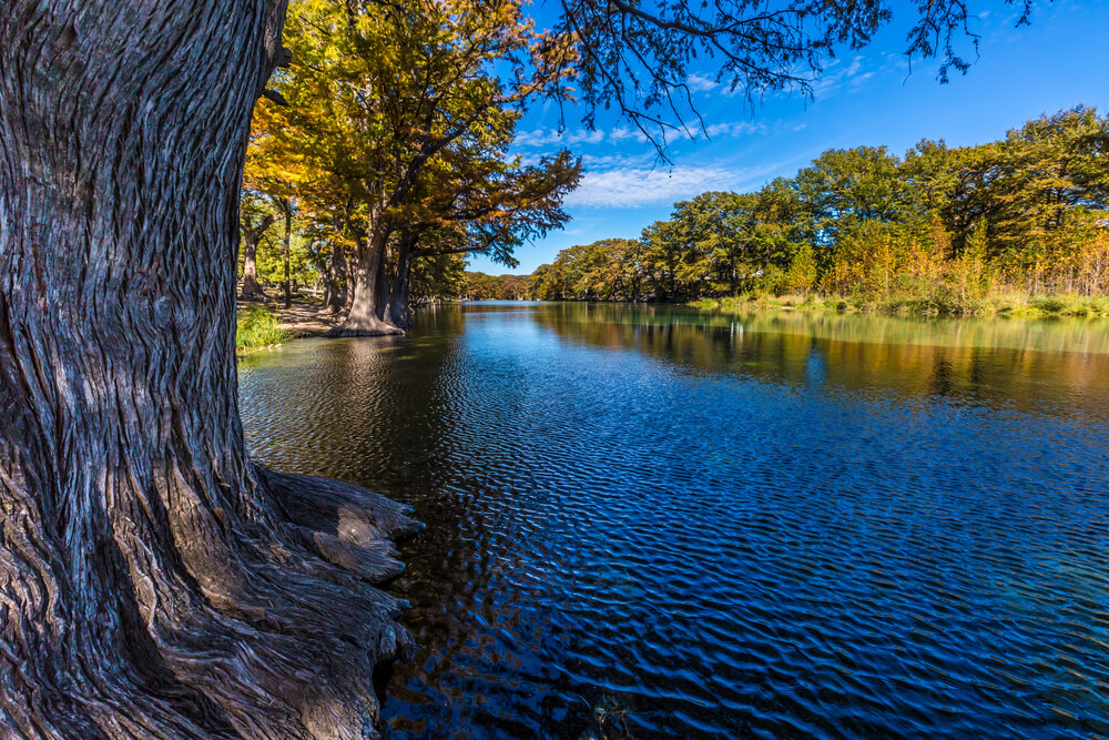 A scenic riverbank lined with tall cypress trees and calm blue waters, reflecting the natural beauty of the Texas Hill Country near Arbor Terrace Lakeway, a senior living community in Lakeway, TX.