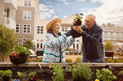 The Benefits of Gardening for Seniors