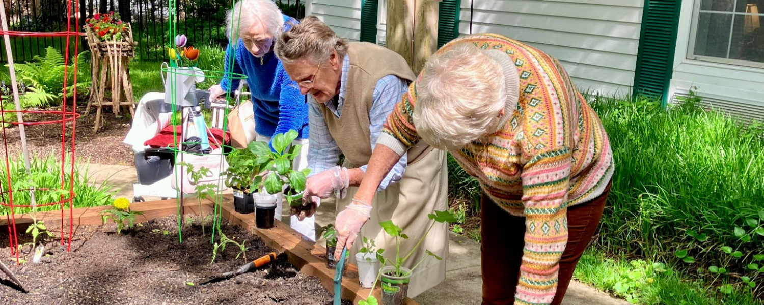 North Carolina - seniors gardening