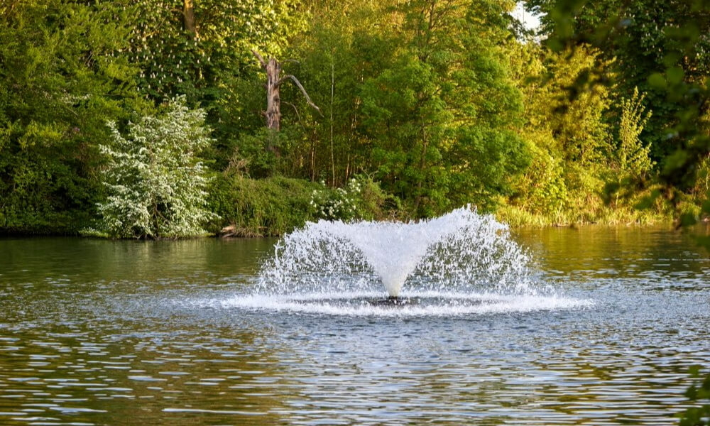 A tranquil pond with a water fountain surrounded by lush greenery, reflecting the natural beauty and preserved open spaces near senior living in Montgomery Township NJ.
