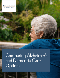 Asheville Dementia Care Options Cover