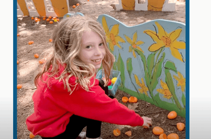 child picking apricot 