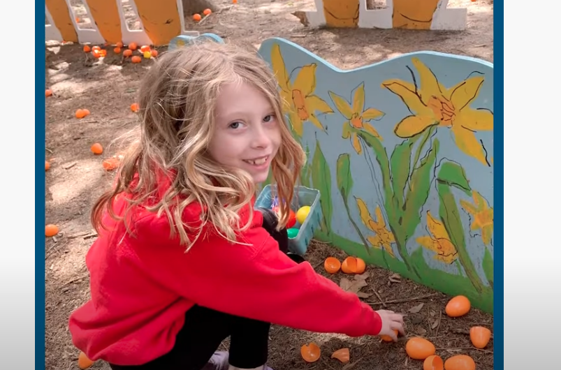 child picking apricot 
