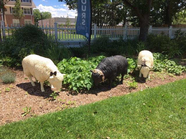 Three decorative sheep sculptures graze among lush garden beds outside Arbor Terrace Herndon, adding a charming, whimsical touch to the beautifully landscaped grounds of this welcoming retirement community Herndon VA and senior living Herndon Virginia