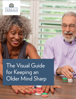 Naples - The Visual Guide for Keeping an Older Mind Sharp - Cover