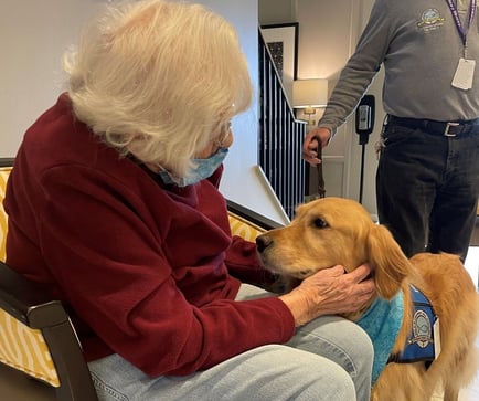 A resident smiles while petting a friendly visiting dog as a staff member looks on, reflecting the senior care with activities found at Glenview senior living.