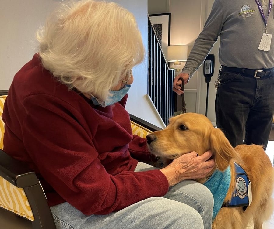 A resident smiles while petting a friendly visiting dog as a staff member looks on, reflecting the senior care with activities found at Glenview senior living.
