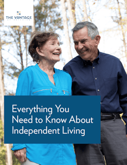 Vantage Independent Living Guide