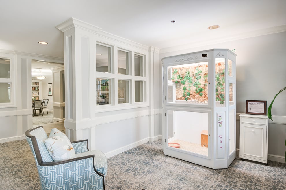 Greenbelt Common Space 3