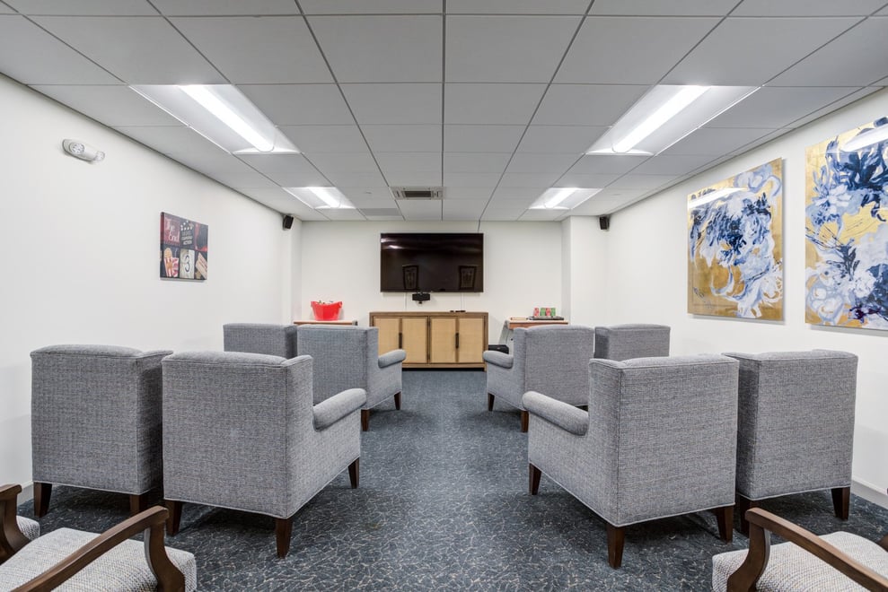 Summit of Uptown - Park Ridge-Theater