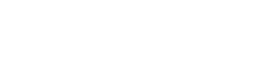 Amelia Island Logo Horizontal - White (1)-2