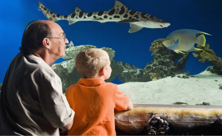 Senior and grandson visiting the Austin Aquarium