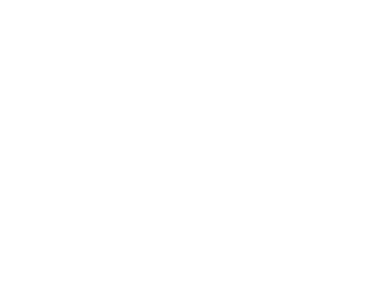 Cooper City White logo