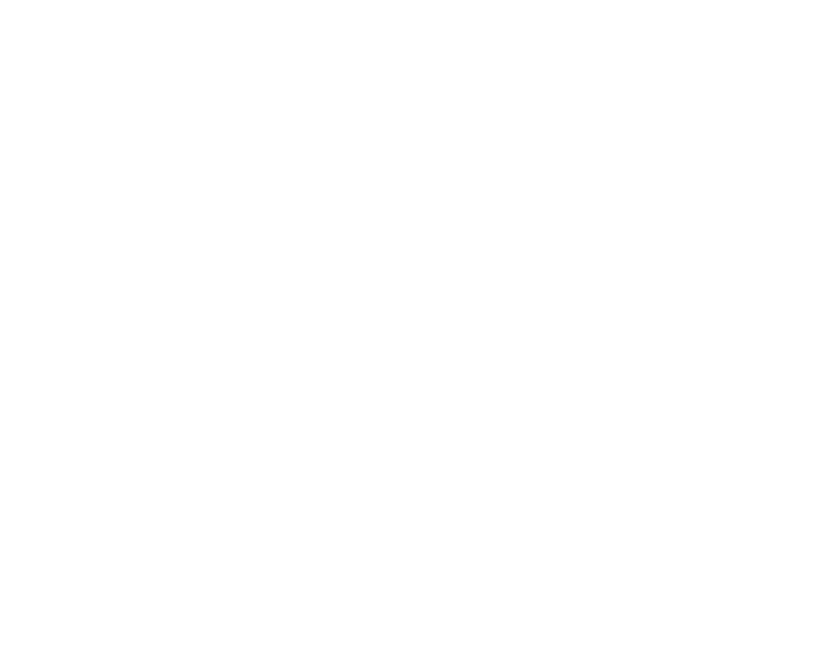 Cooper City White logo